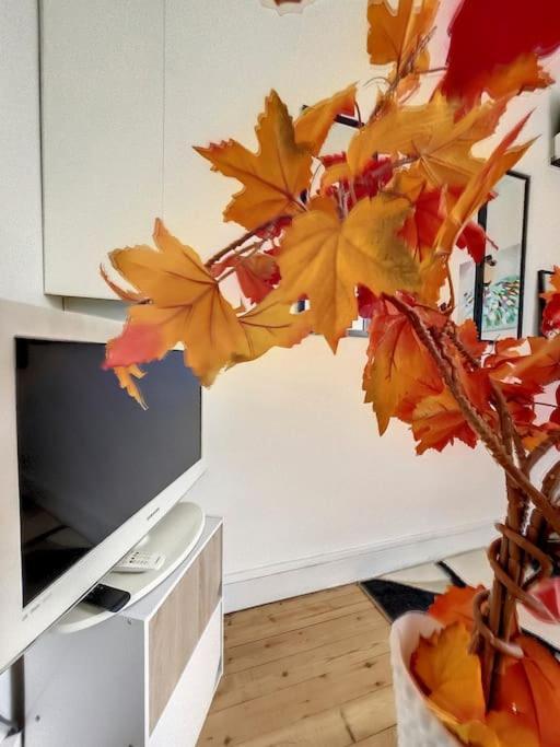 Le Chantenay Apartment Nantes